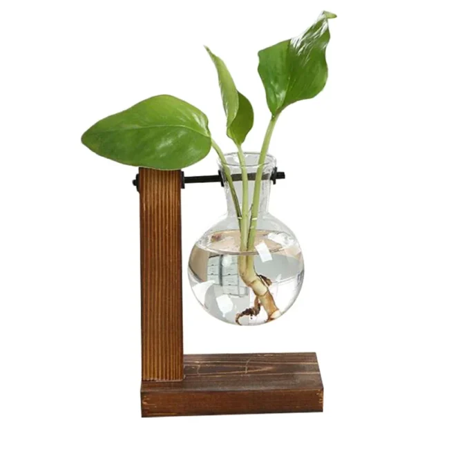 New Terrarium Hydroponic Plant Vases Vintage Flower Pot Transparent Vase Wooden Frame Glass Tabletop Plants Home Bonsai Decor - Image 3